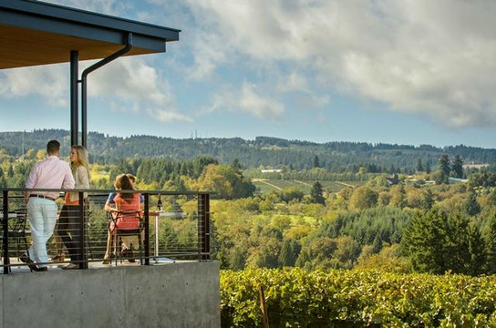 Ponzi Vineyards-Sherwood必去景点