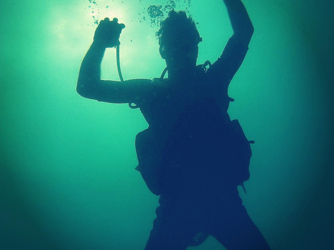 Epic Encounters Dive & Adventure Centre景点图片