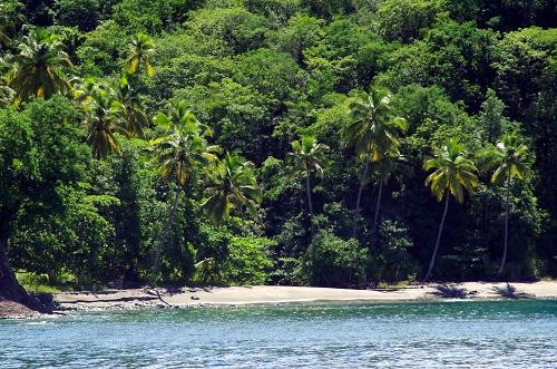 Excursions Passion Catamaran-Le Marin必去景点