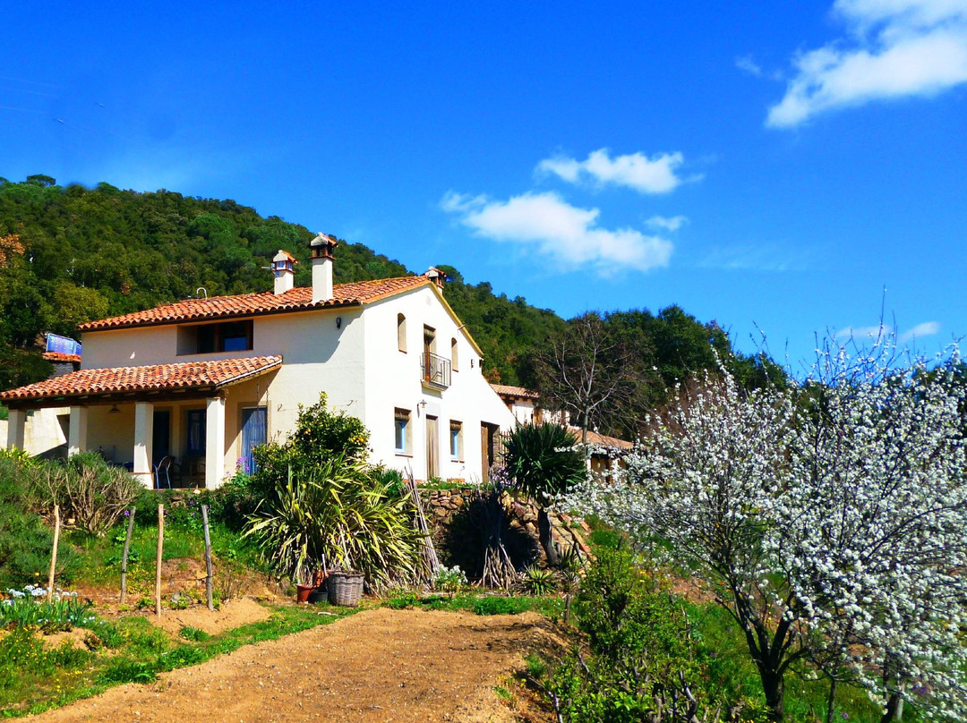 Mas Vinyoles