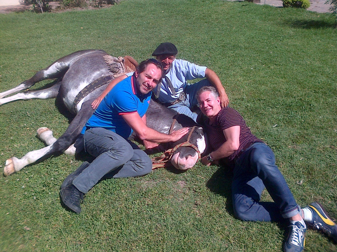 Private Concierge Buenos Aires- Day Trip-布宜诺斯艾利斯必去景点