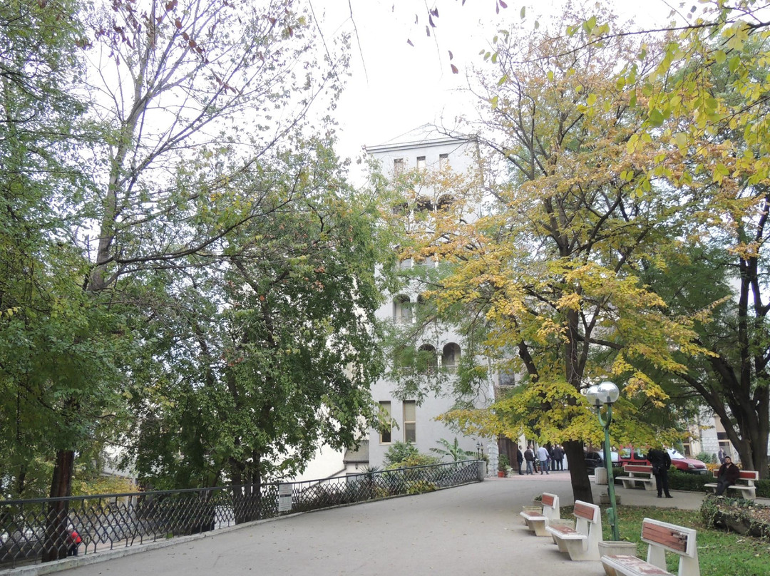 Dunavska Gradina景点图片