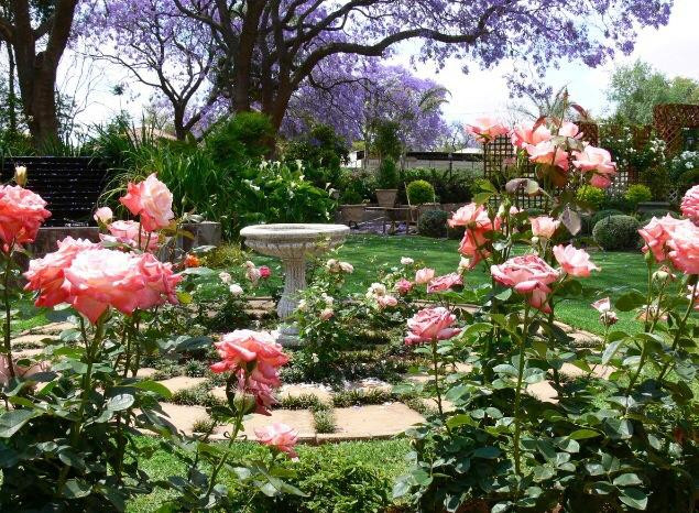 Olivia's Place主图