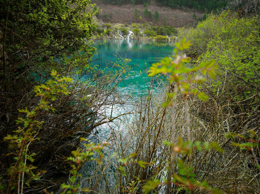 树正群海景点图片