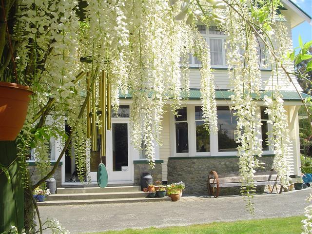Moata Bed and Breakfast-酒店景观