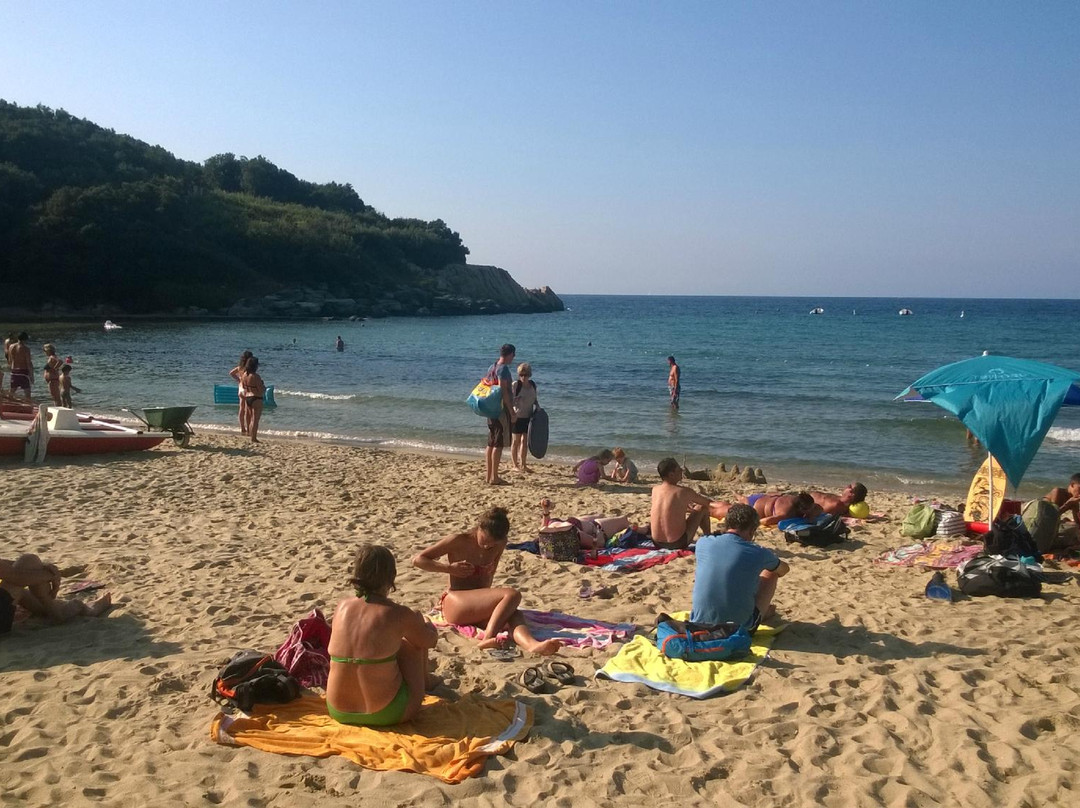 Spiaggia di Spartaia-Procchio必去景点