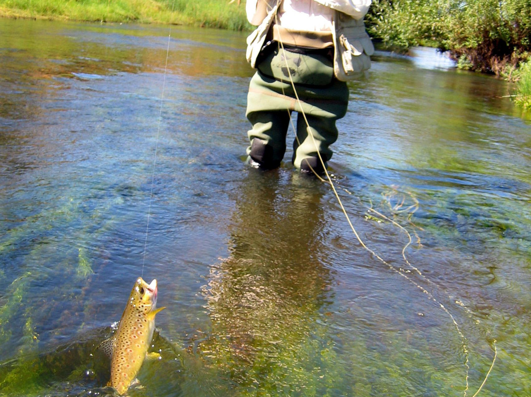 Trout Territory景点图片