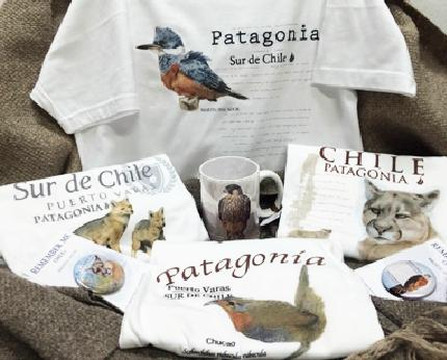 Remember Me Chile-巴拉斯港必去景点