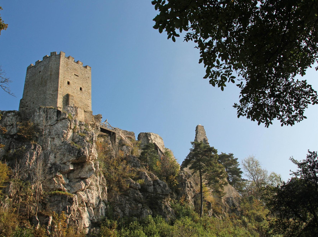 Burg Weissenstein-Regen必去景点