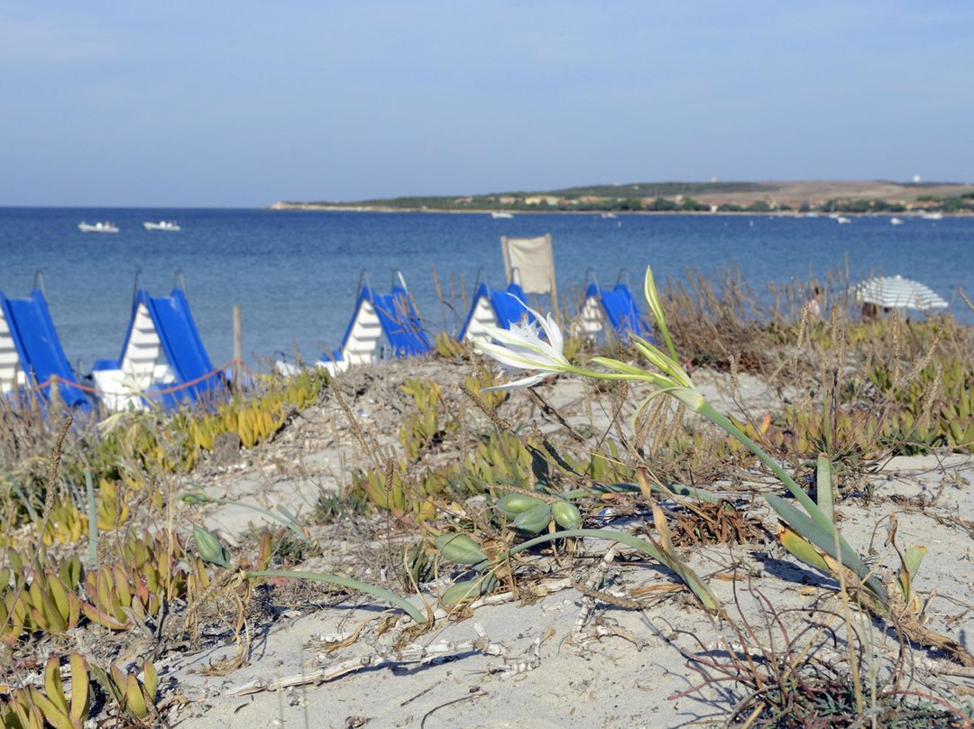 Spiaggia Putzu Idu-San Vero Milis必去景点