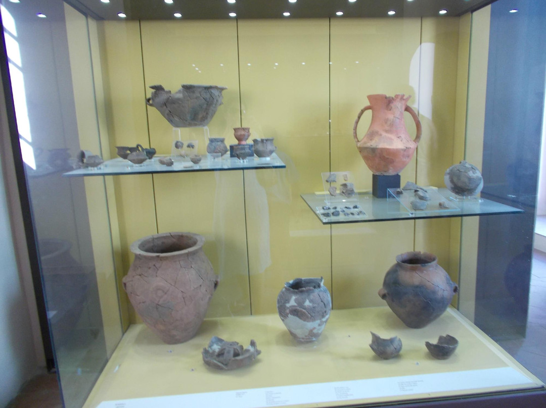 Antiquarium D. Ryolo景点图片