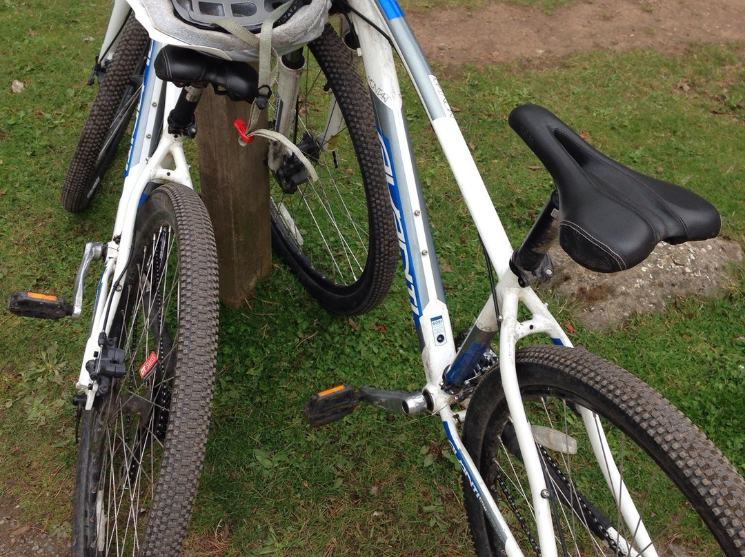Forest Cycle Hire Ltd-Day Bike Tours景点图片