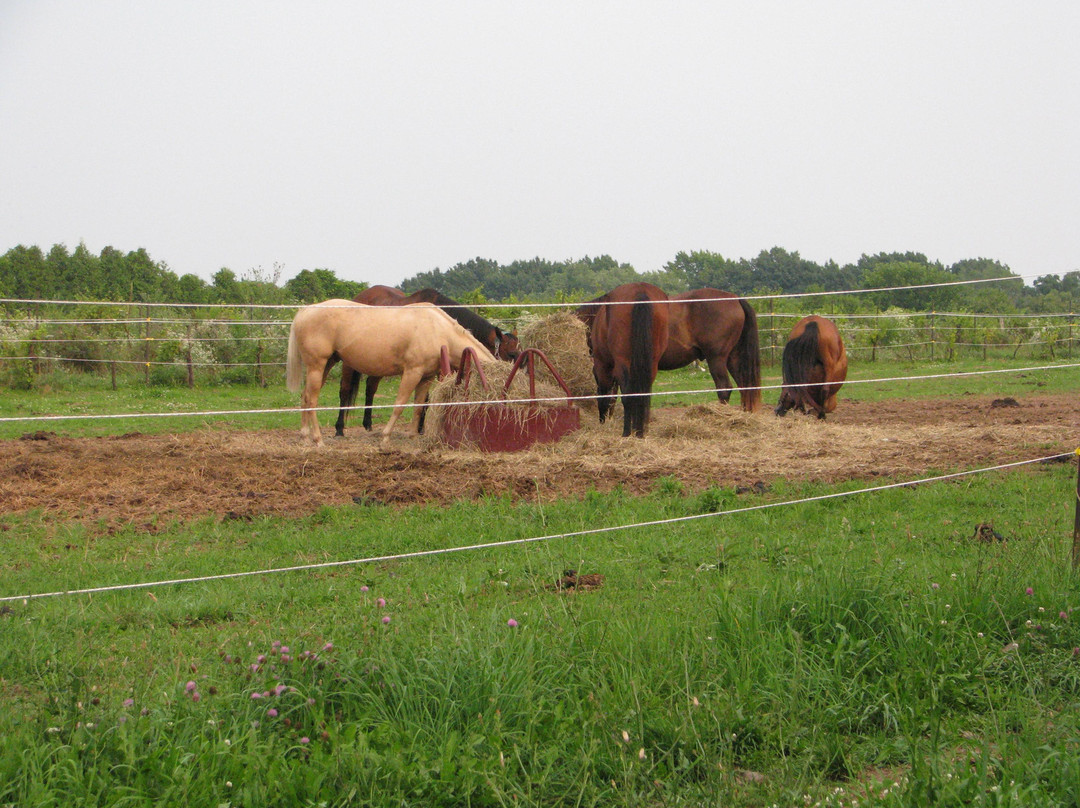 Bissell's Hideaway-Pelham必去景点
