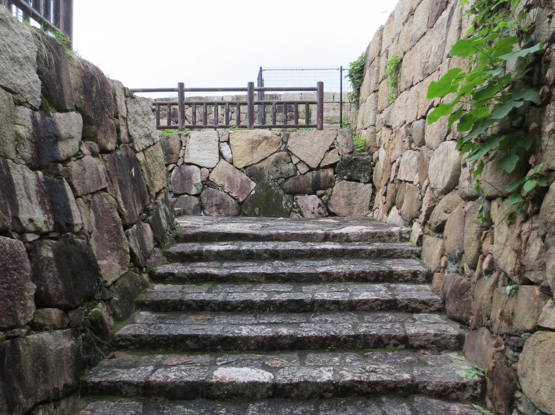 Kamei Park景点图片