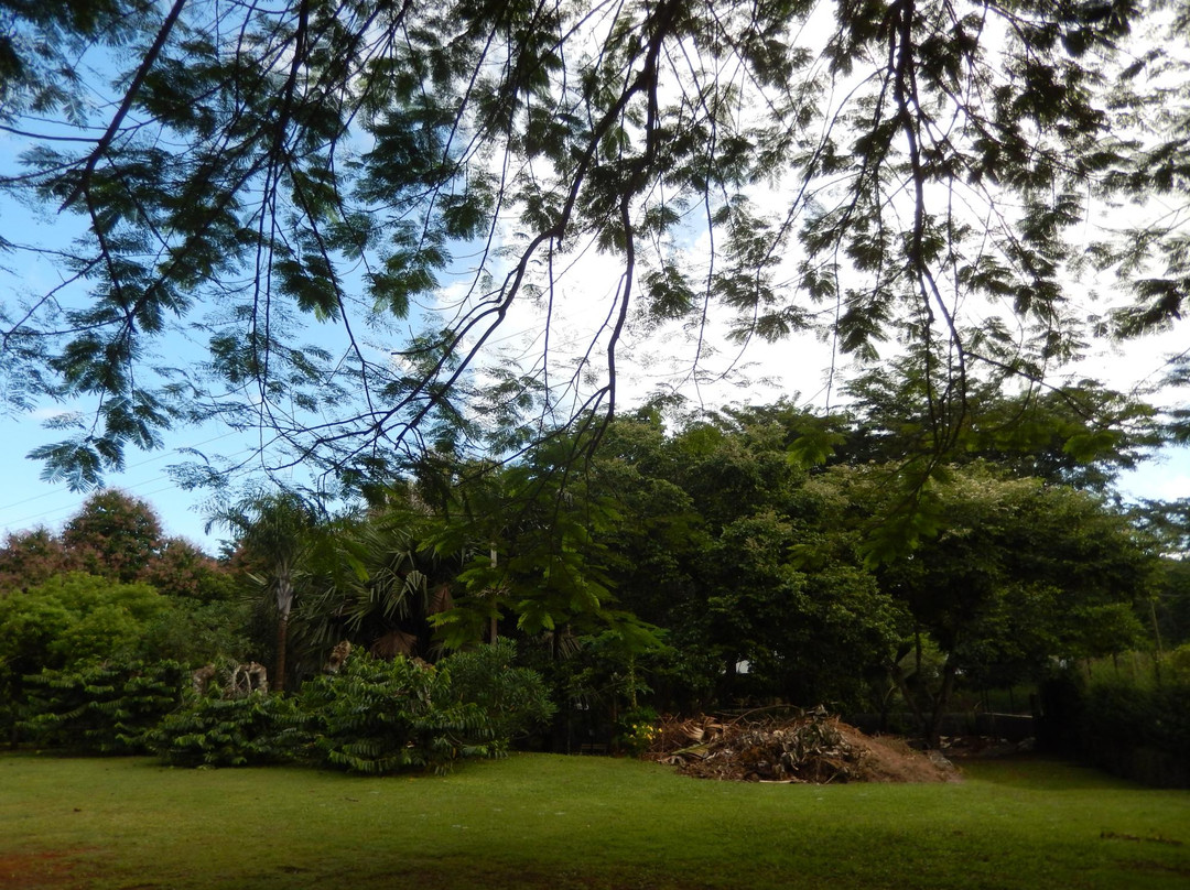 Jardin Botanique de Coconi-Ouangani必去景点