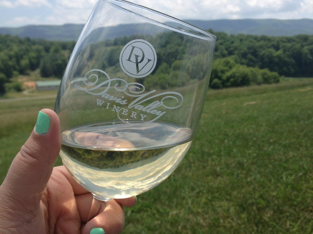 Davis Valley Winery and Vineyard-Rural Retreat必去景点