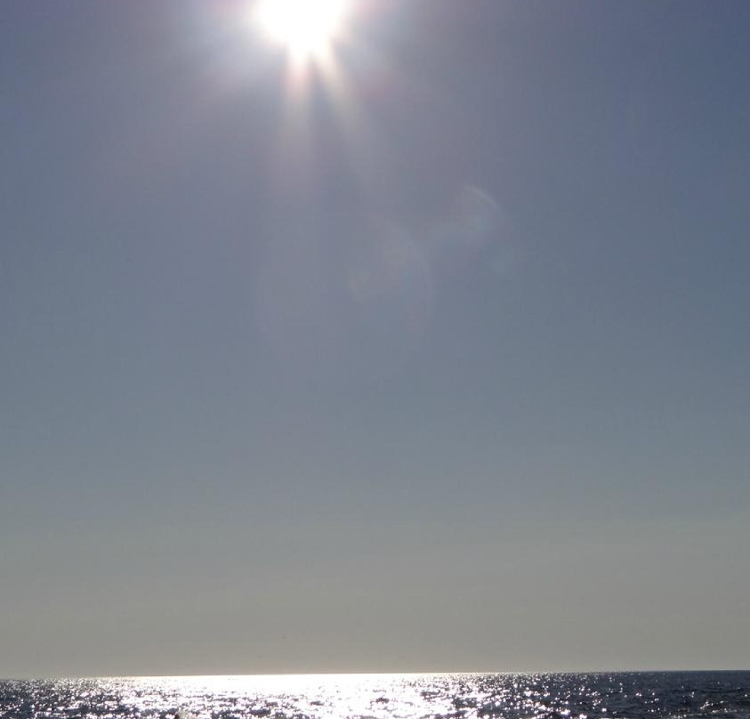 Whale Cruisers-Cheticamp必去景点