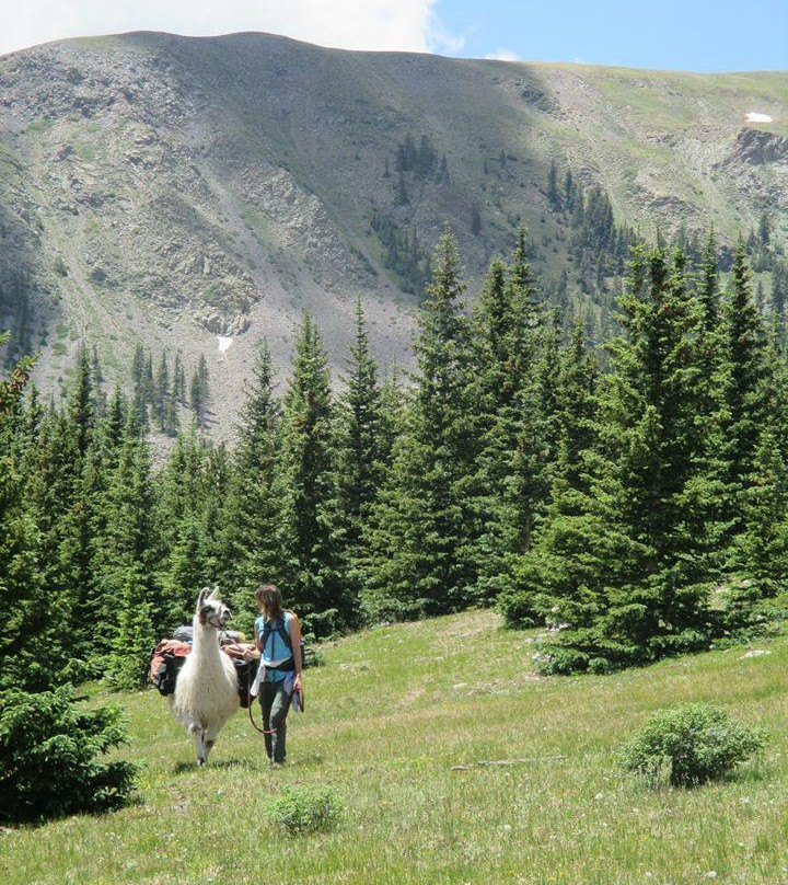 Latir Peak Wilderness Area景点图片