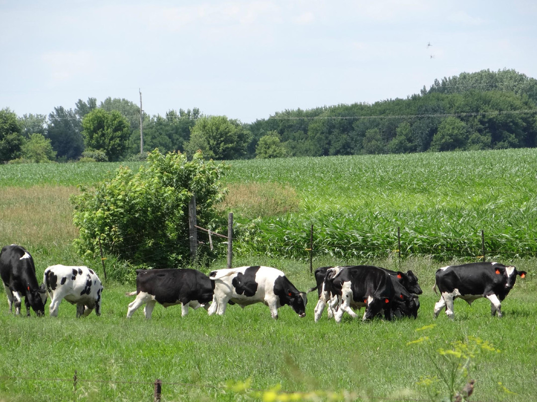 Douglas Trail-罗切斯特必去景点