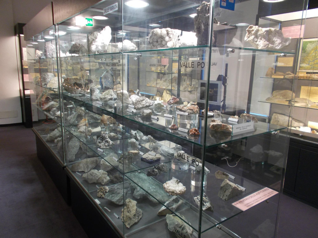 Museo Civico archeologico e di Scienze Naturali F. Eusebio景点图片
