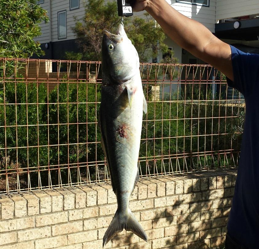 Our Place Augusta主图