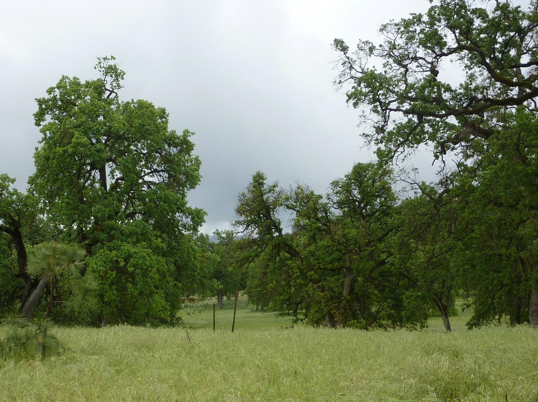 Ahwahnee Hills Regional Park-Ahwahnee必去景点