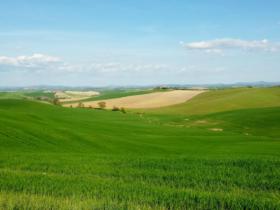 Rolling Hills Tours景点图片