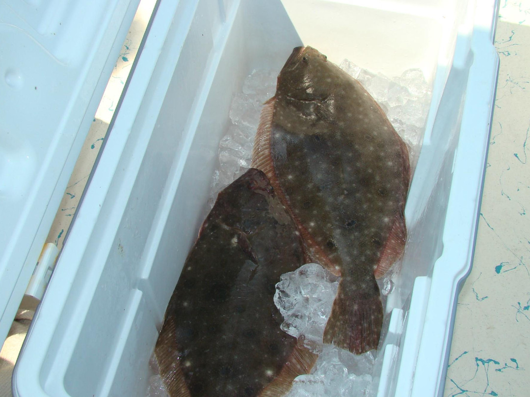 Badfish Charters-Ocean View必去景点