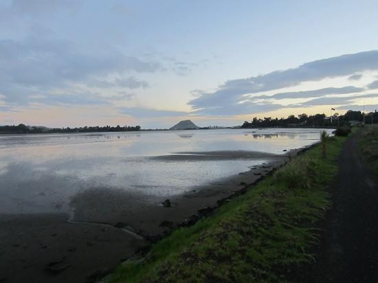 Waikareao Estuary景点图片