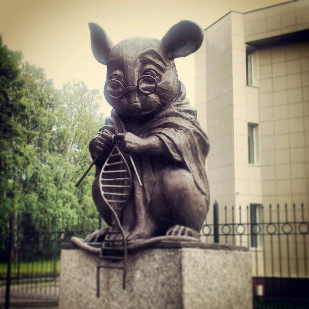 Monument of Laboratory Mice景点图片