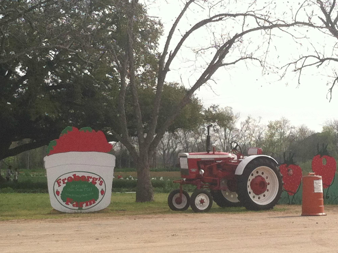 Froberg's Farm-Alvin必去景点