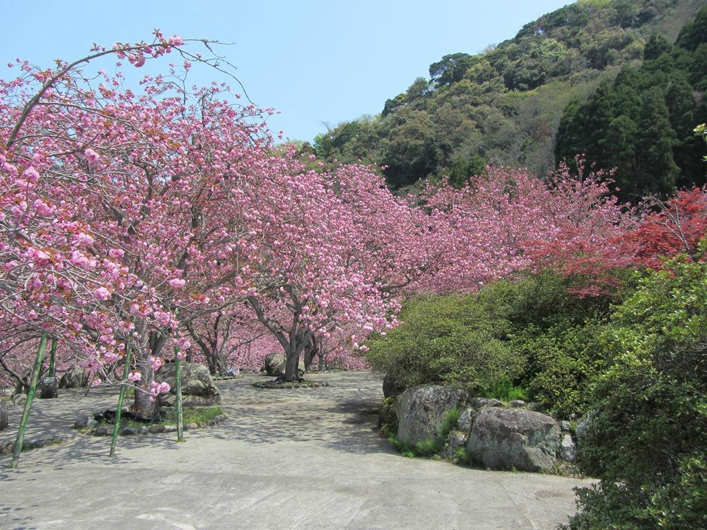 Isshinji Temple-大分市必去景点