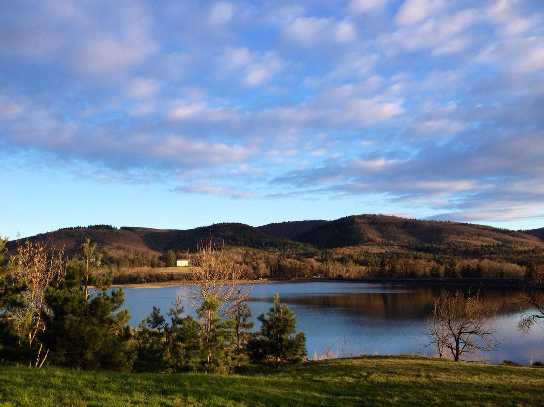 Lac de Saint Ferreol景点图片