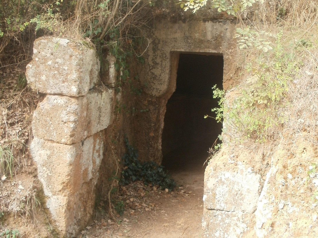 Necropoli di San Giuliano-Barbarano Romano必去景点