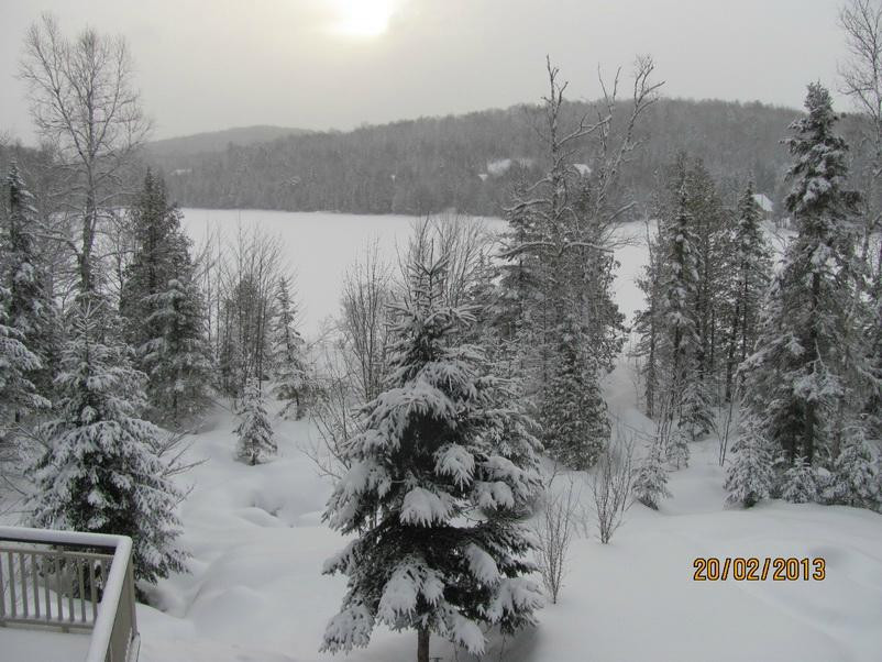Les Terrasses du Lac主图
