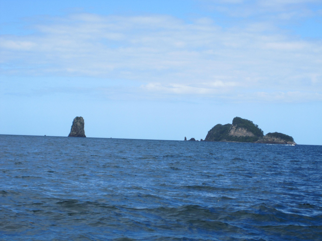Ocean Leopard - Cathedral Cove Boat Tours-菲蒂昂格必去景点
