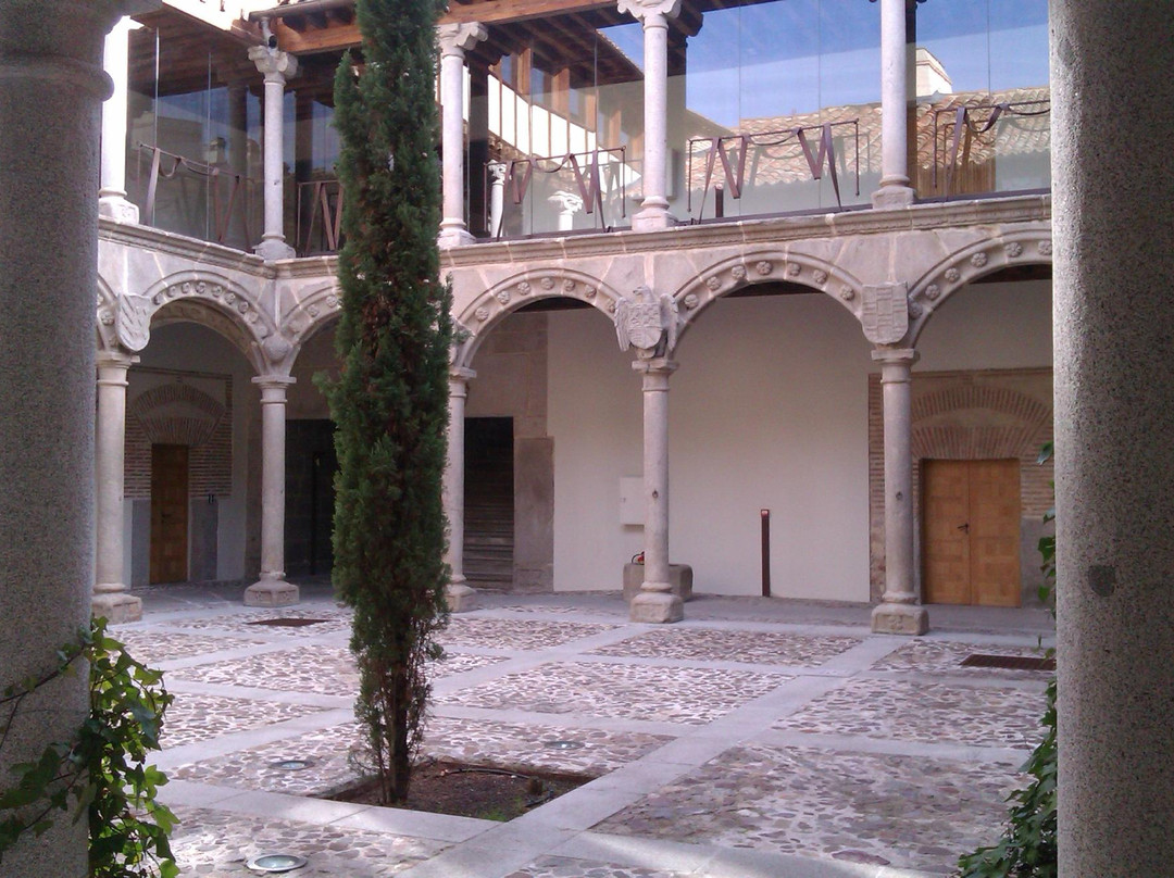 Palacio de Los Verdugo景点图片