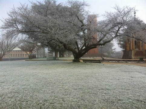 Knickerbocker Hotel主图