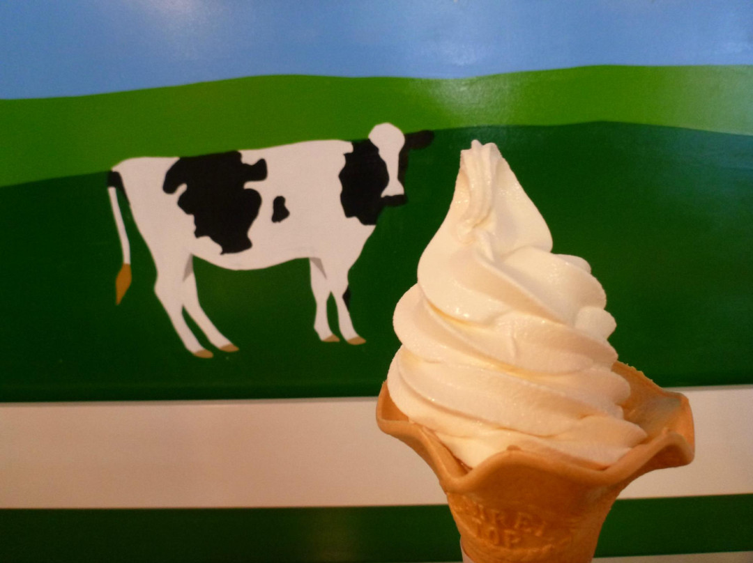 涩川市餐馆和美食-Ikaho Green Farm Ice Cream Shop