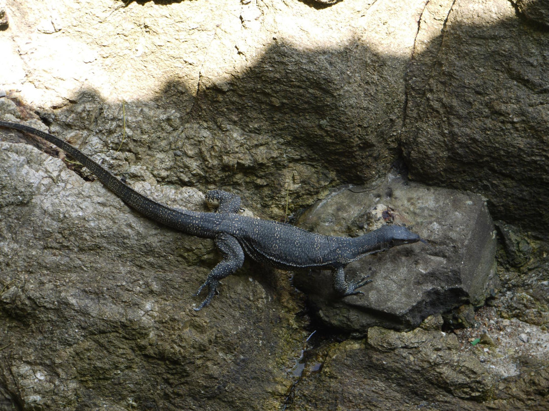 泰国皇帝岛潜水-大皇帝岛必去景点