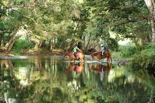 Mount-N-Ride Adventures-凯恩斯必去景点