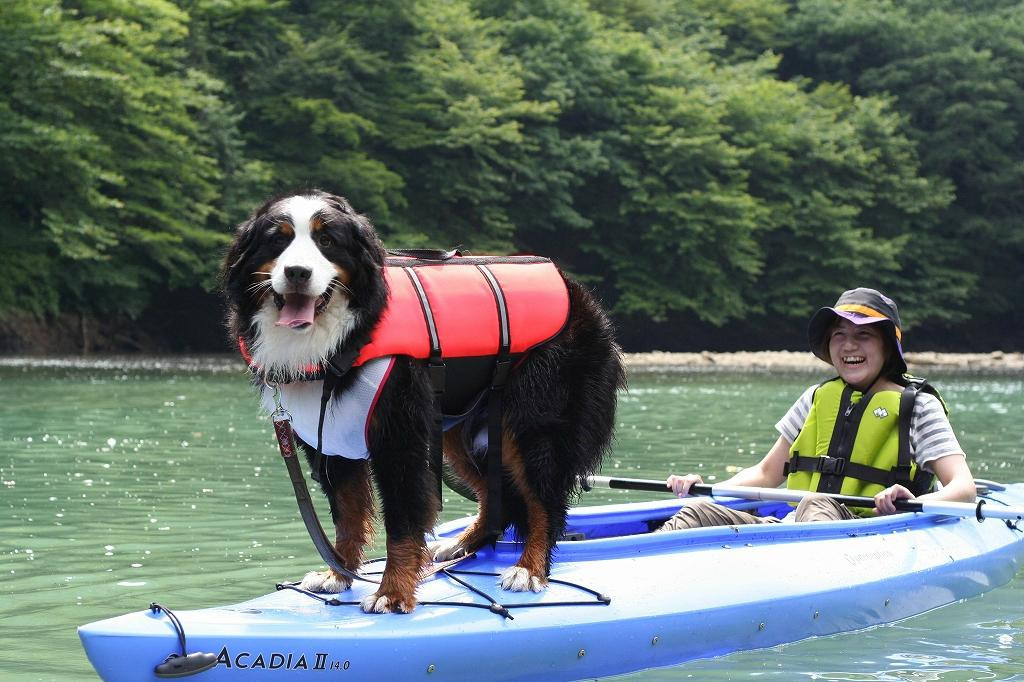 Nature Planet-日光市必去景点