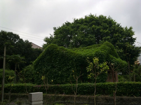 泉州森林公园景点图片