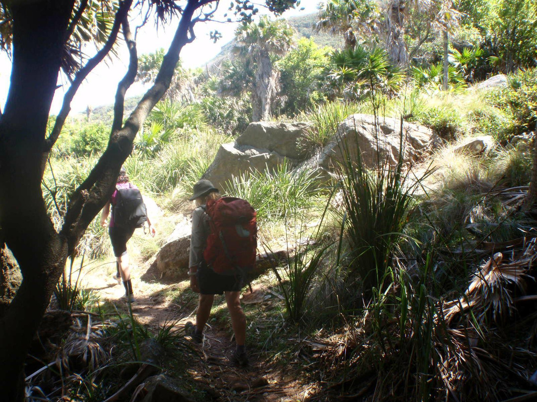 Sydney Coast Walks-悉尼必去景点