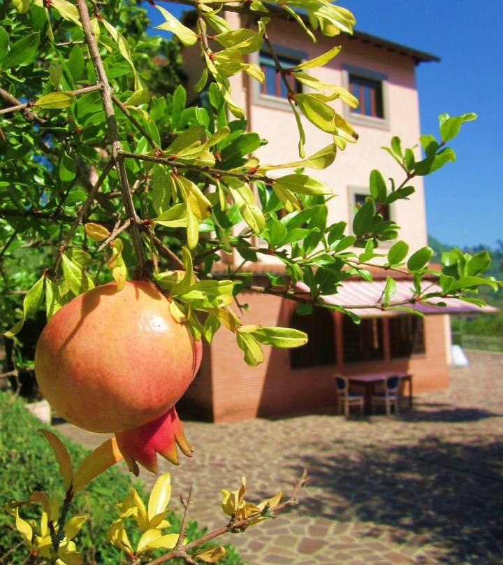 Il Casone - Valle dell'Aniene