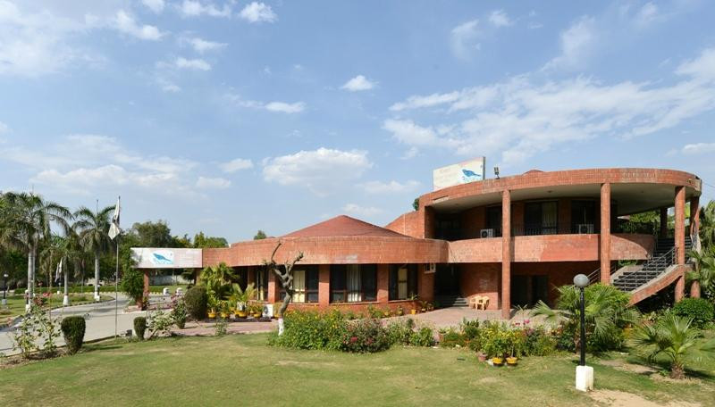 Motel Koel