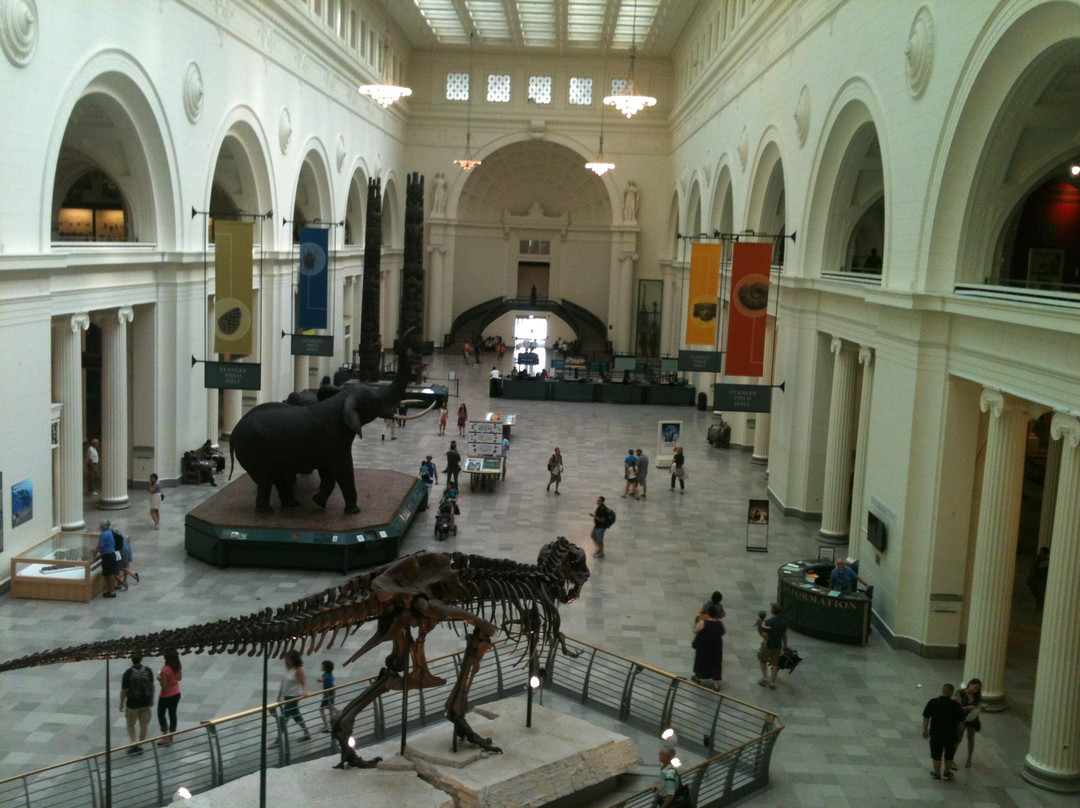 菲尔德自然史博物馆-芝加哥必去景点