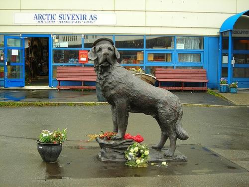 Bamse statue景点图片