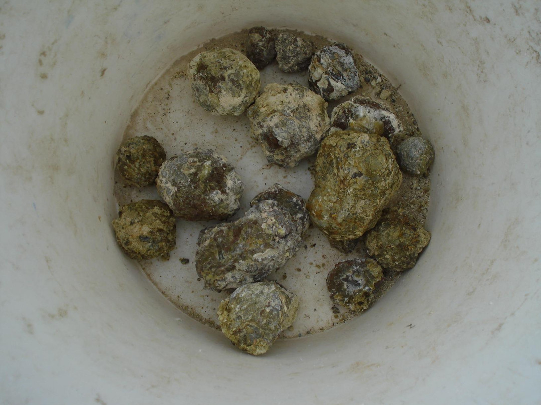 Richardson's Rock Ranch景点图片