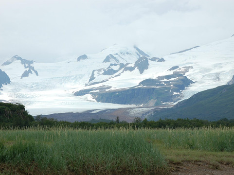 Alaska Wild Bear Adventures-荷马必去景点